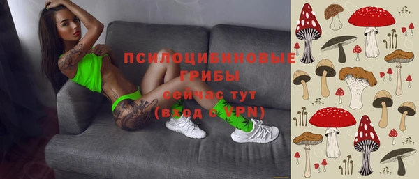 прущая мука Абаза