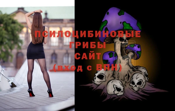 прущая мука Абаза