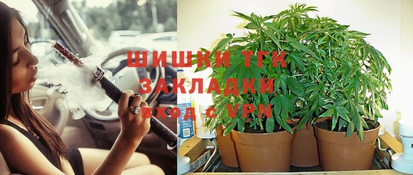 прущая мука Абаза