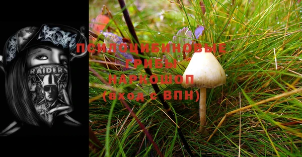 прущая мука Абаза