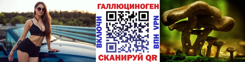 Псилоцибиновые грибы Psilocybe  купить наркоту  Адыгейск 